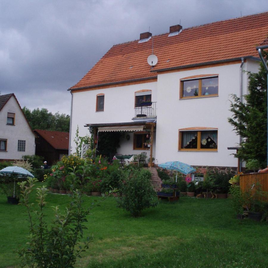 Апартаменты Haus-In-Gemuenden-An-Der-Wohra Gemunden an der Wohra Экстерьер фото